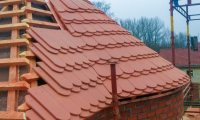 001_image_Pulice