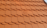 005_image_Pulice