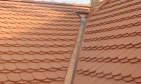 006_image_Pulice